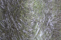 High Wray fibreglass roof work